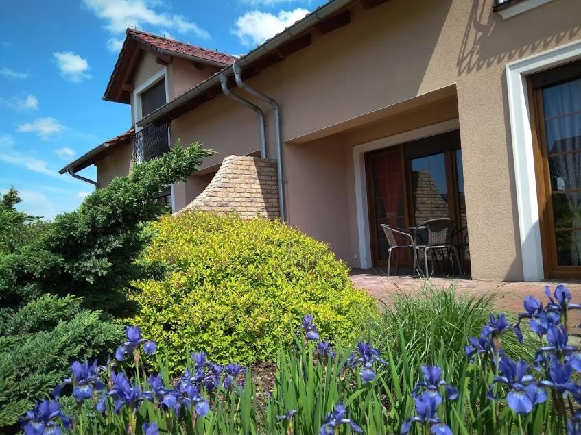 Iskra Apartamento *