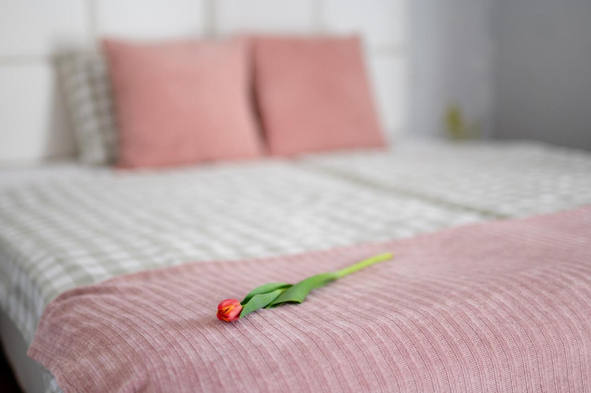 Iskra Apartamento Jemielnica